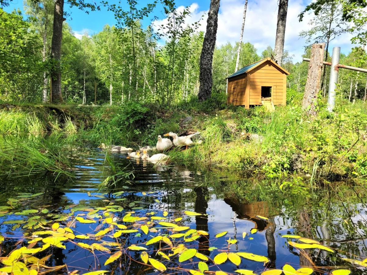 Vila Bergakungen Stugby Osby  Exteriér fotografie